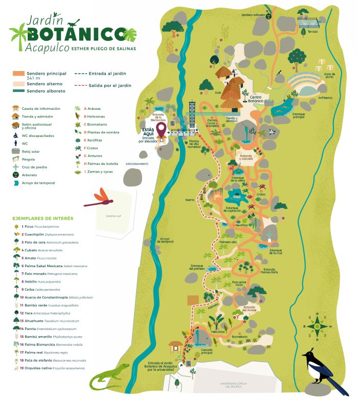 mapa jardin botanico acapulco