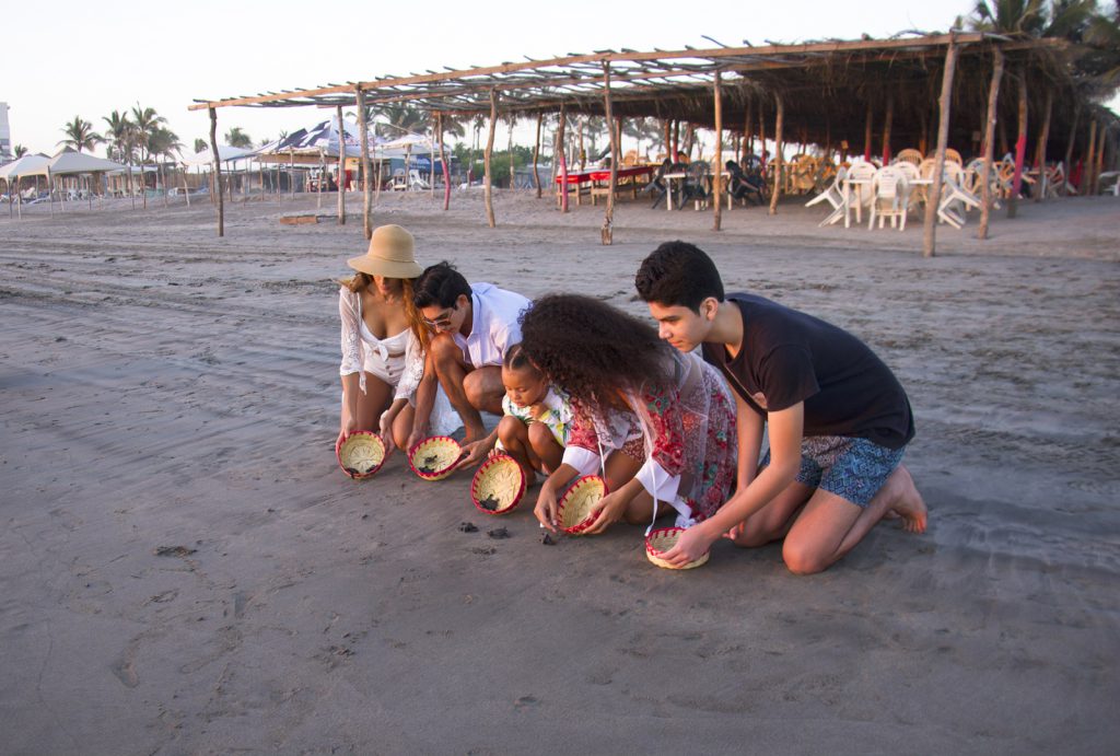 Liberación de Tortugas Acapulco