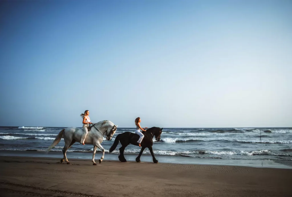 Paseo a Caballo en Acapulco